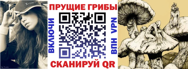 mega вход  Армянск  Псилоцибиновые грибы ЛСД  купить наркотик 